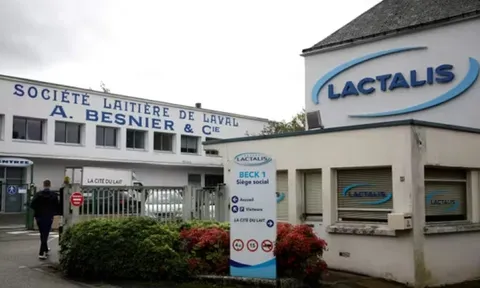 Sau Nestlé, Danone và Lactalis đồng loạt thu hồi sản phẩm sữa cho trẻ sơ sinh